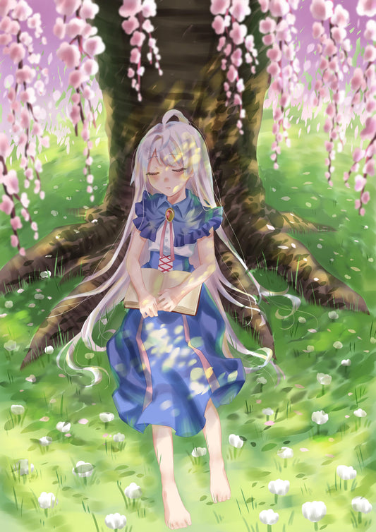 ひだまり